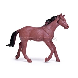 Набор "Домашние животные" в пакете