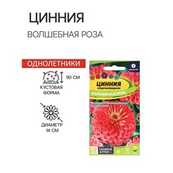 Семена цветов Цинния "Волшебная Роза", ц/п,  О, ц/п, 0,3 г.