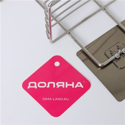 Мыльница 2-х ярусная на липучке Доляна, 2 крючка, 14.5×10×21 см, хром