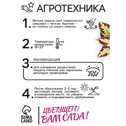 Семена цветов Колеус Визард Мозаик, 10шт