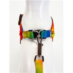 Комплект «Радуга», капрон, поводок 120×1.5 см, ОГ 24-34 см, разноцветный