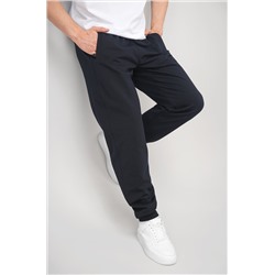 Мужские брюки из футера двухнитки Happyfox