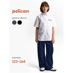 PELICAN Брюки GWP7144