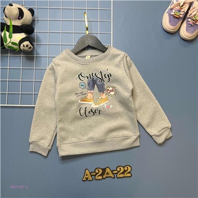 кофта с начесом 1847197-3