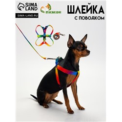 Комплект «Радуга», капрон, поводок 120×1.5 см, ОГ 24-34 см, разноцветный