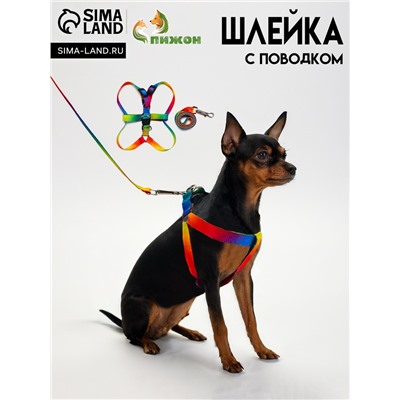 Комплект «Радуга», капрон, поводок 120×1.5 см, ОГ 24-34 см, разноцветный