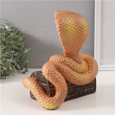 Фигурка гипс «Кобра на сундуке», 20×17×12 см, янтарный