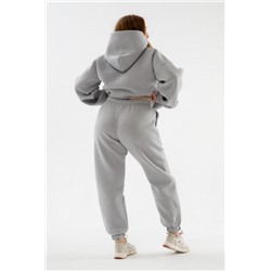 Брюки 89603 с начесом теплые костюмные (Светло серый)