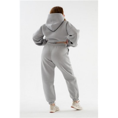 Брюки 89603 с начесом теплые костюмные (Светло серый)