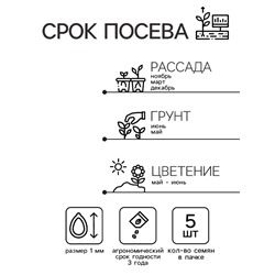 Семена комнатных цветов Герань "Скарлет", F1, 5 шт.