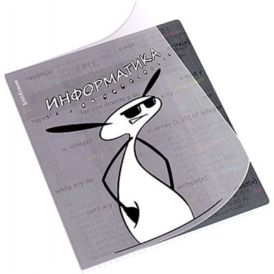 Тетрадь 48л с пластиковой обложкой "Чубрик" по информатике 59479 ErichKrause