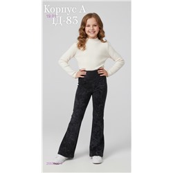 штаны 2053029-4