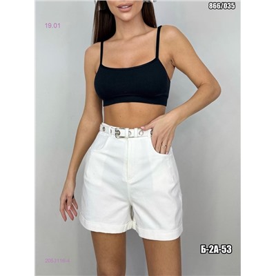 Шорты 2053116-4