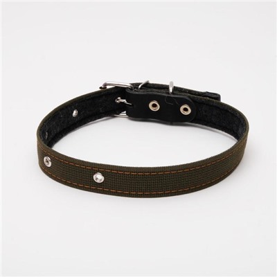 Ошейник брезентовый на фетре, 64×3 см, ОШ 30-55 см, тёмно-зелёный