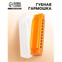 Губная гармошка Music Life, диатоническая, 10 отверстий, c-major, с футляром, оранжевая