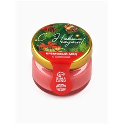 Мёд муссовый «С новым годом!», с малиной, 30 г
