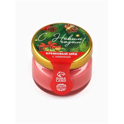 Мёд муссовый «С новым годом!», с малиной, 30 г