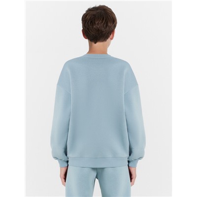 СВИТШОТ ДЛЯ МАЛЬЧИКОВ 123447