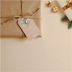 Открытка-шильдик новогодний на подарок «Шишечки», 5×9 см