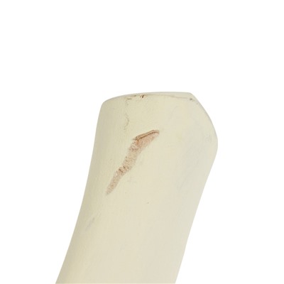 УЦЕНКА Топор кованый ТУНДРА, деревянное топорище Б3, 1200 г, порошковое покрытие