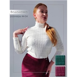 Водолазка 62023 (Белый)