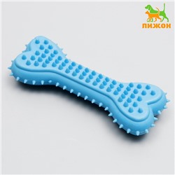 Жевательная игрушка для собак литая «Кость для массажа», 11×4×2 см, голубая