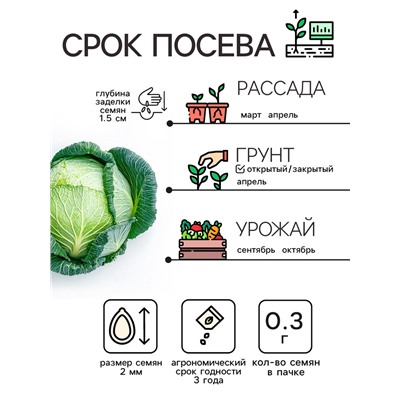 Семена Капуста белокочанная "Московская поздняя 15", 0,3 г