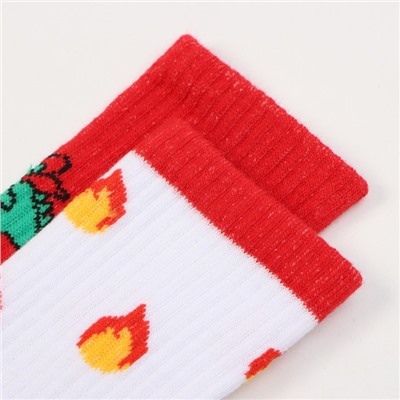 Набор детских носков KAFTAN «Дракон», 2 пары, размер 18-20