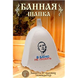 Шапка банная №GL1104 В баню не пускать (В ассортименте)