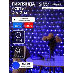 Гирлянда «Сеть» 2×3 м, IP44, УМС, прозрачная нить, 384 LED, свечение синее, 220 В