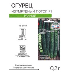 Семена Огурец «Изумрудный поток», F1, 0.2 г, раннеспелый, «СеДеК»