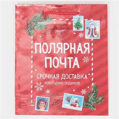 Пакет подарочный новогодний ламинированный «Полярная почта», ML 21×25×8 см