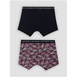 ТРУСЫ МУЖСКИЕ (2ШТ) 411221-2