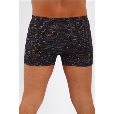 Трусы мужские 45053 (Микс)