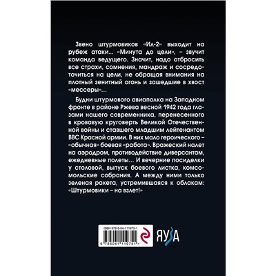 Эксмо Алексей Цаплин "Штурмовик. Минута до цели"