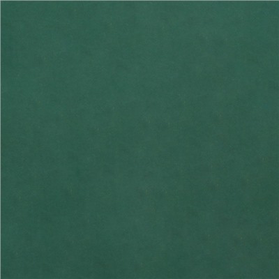 Бумага упаковочная крафт «Мокрый тропический лес», 0.7×10 м, 70 г