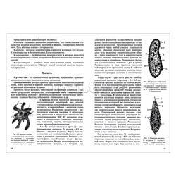 Интенсивный курс. Биология