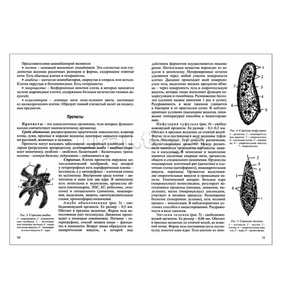 Интенсивный курс. Биология