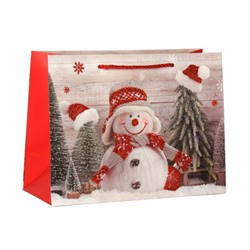 Пакет подарочный 18х24х8,5 / 110-1S /уп 12/720/Новый год