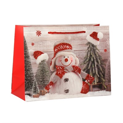 Пакет подарочный 18х24х8,5 / 110-1S /уп 12/720/Новый год