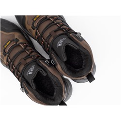 Зимние Ботинки Adidas Terrex Winter