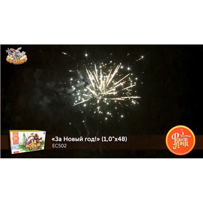 Фейерверк ЕС502 За Новый Год! (1" х 48)