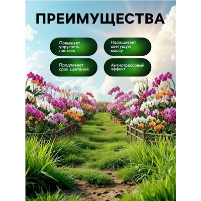 Спрей для орхидей Greenlife «Органический эликсир», 500 мл