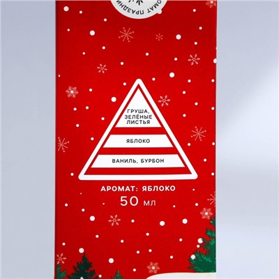 Диффузор ароматический палочки «Новогодняя коллекция: Тепла и уюта», аромат яблоко, 50 мл.
