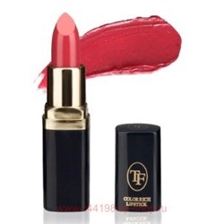 Triumph Помада для губ тон 15 лиловая тайна Color Rich Lipstick CZ06