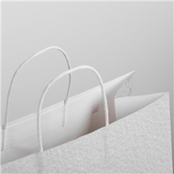 Пакет подарочный новогодний крафт «Чудесный праздник», 25×22×12 см