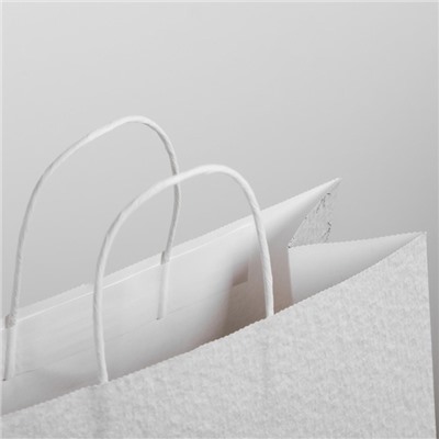 Пакет подарочный новогодний крафт «Чудесный праздник», 25×22×12 см