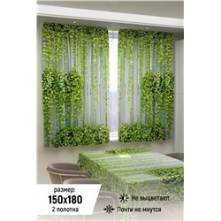 Фотошторы для кухни 10856 (Зеленый)