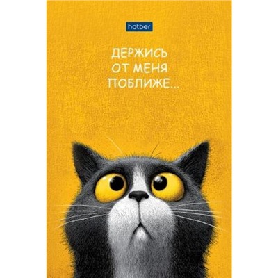 Блокнот А6  40л клетка на склейке "Пушистый философ" (093611) Хатбер