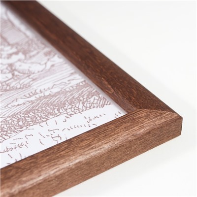 Фоторамка для фото 30×40 см Samoa, сосна, (пластиковый экран), орех